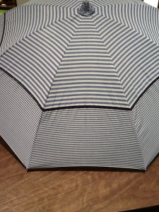 lili blue-1